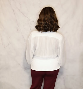 Long Sleeve Deep V-Neck Blouse
